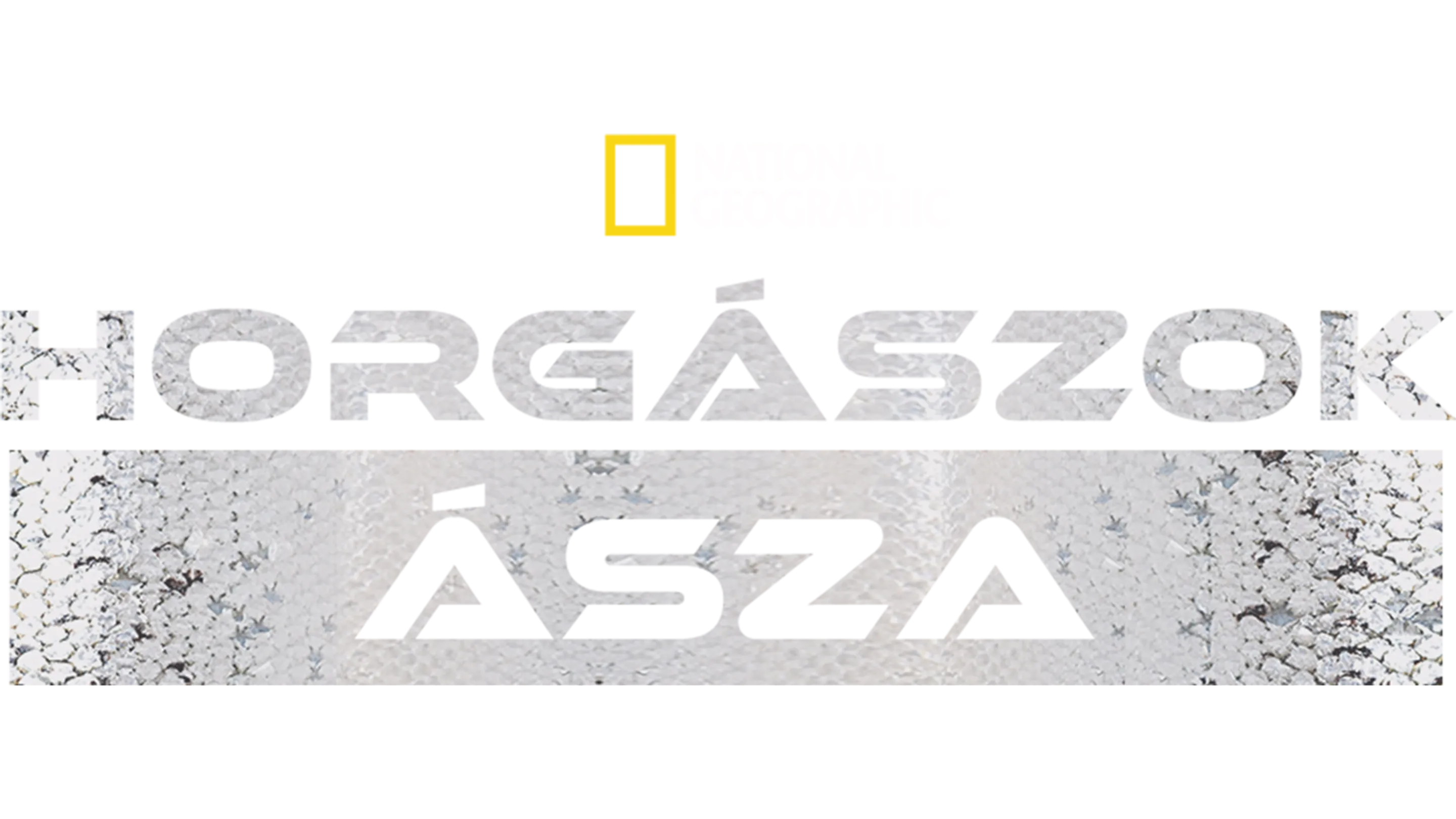 Horgászok Ásza