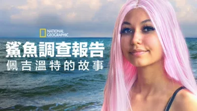 鯊魚襲擊調查︰佩姬溫特的故事