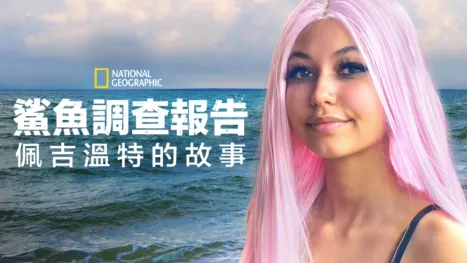 thumbnail - 鯊魚調查報告：佩吉溫特的故事