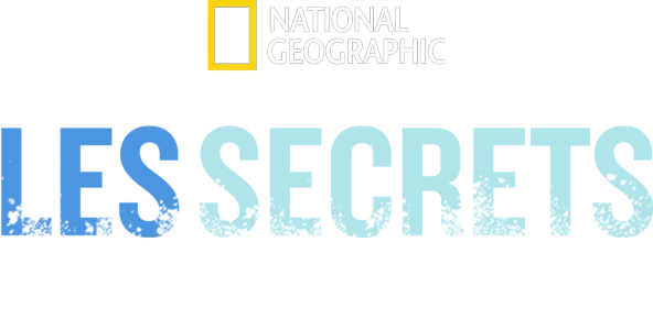 Les secrets des épaves de guerre