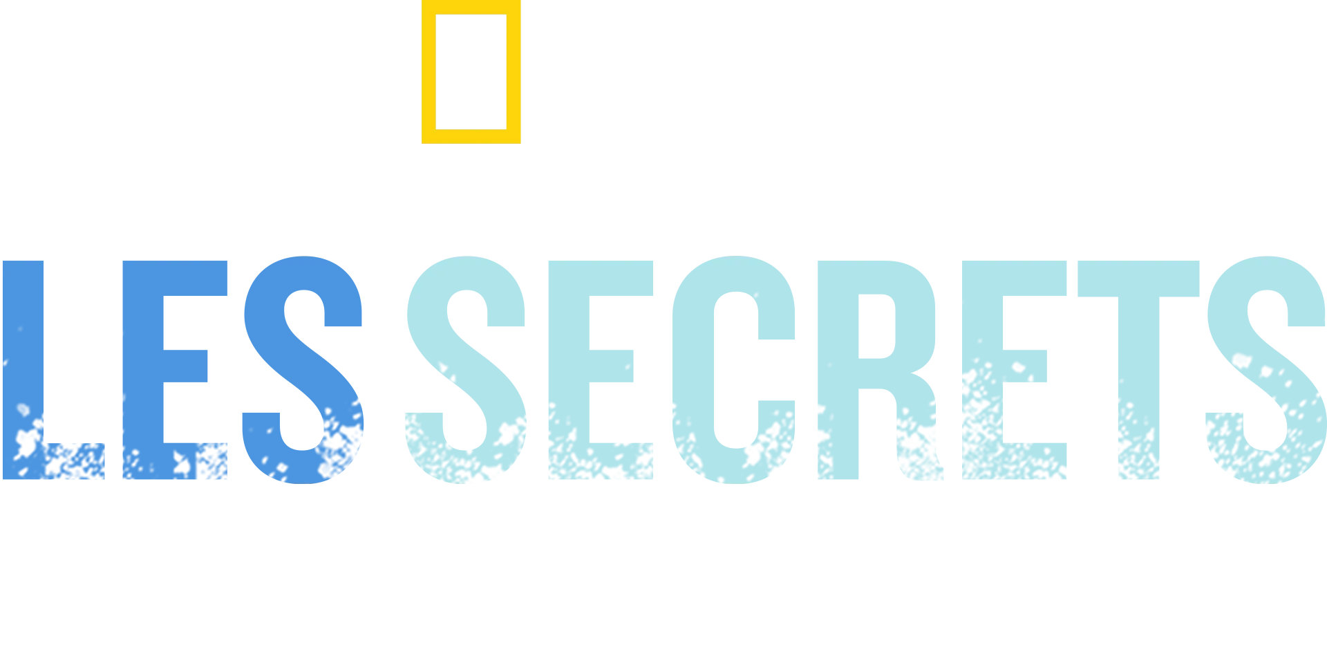 Les secrets des épaves de guerre