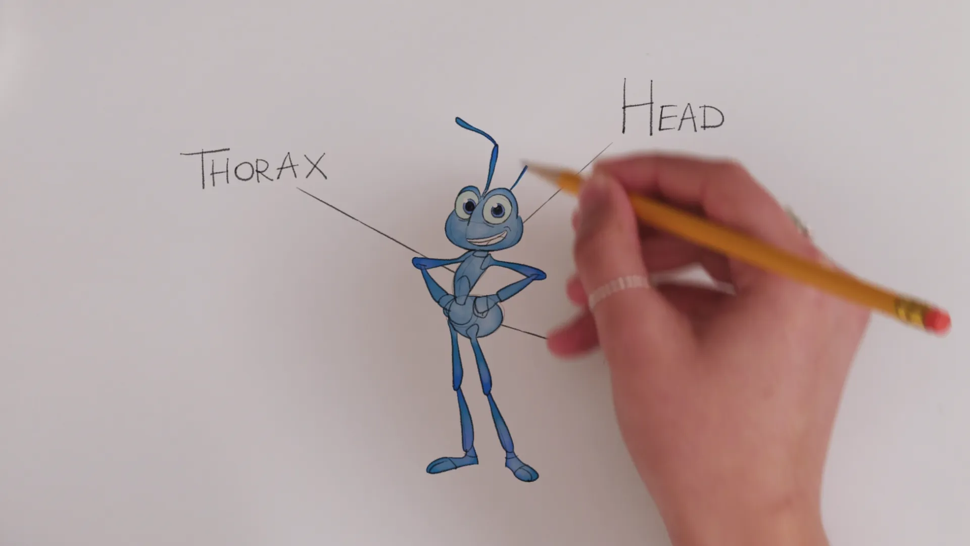 thumbnail - S3:E1 Flik