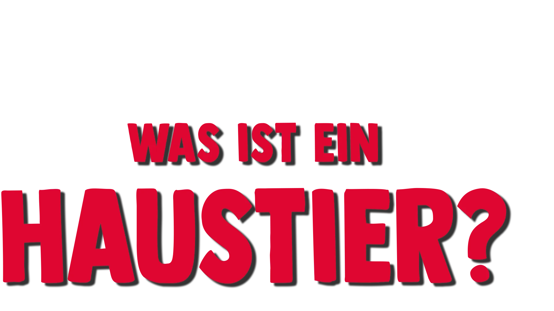 Forky hat eine Frage -Was ist ein Haustier?