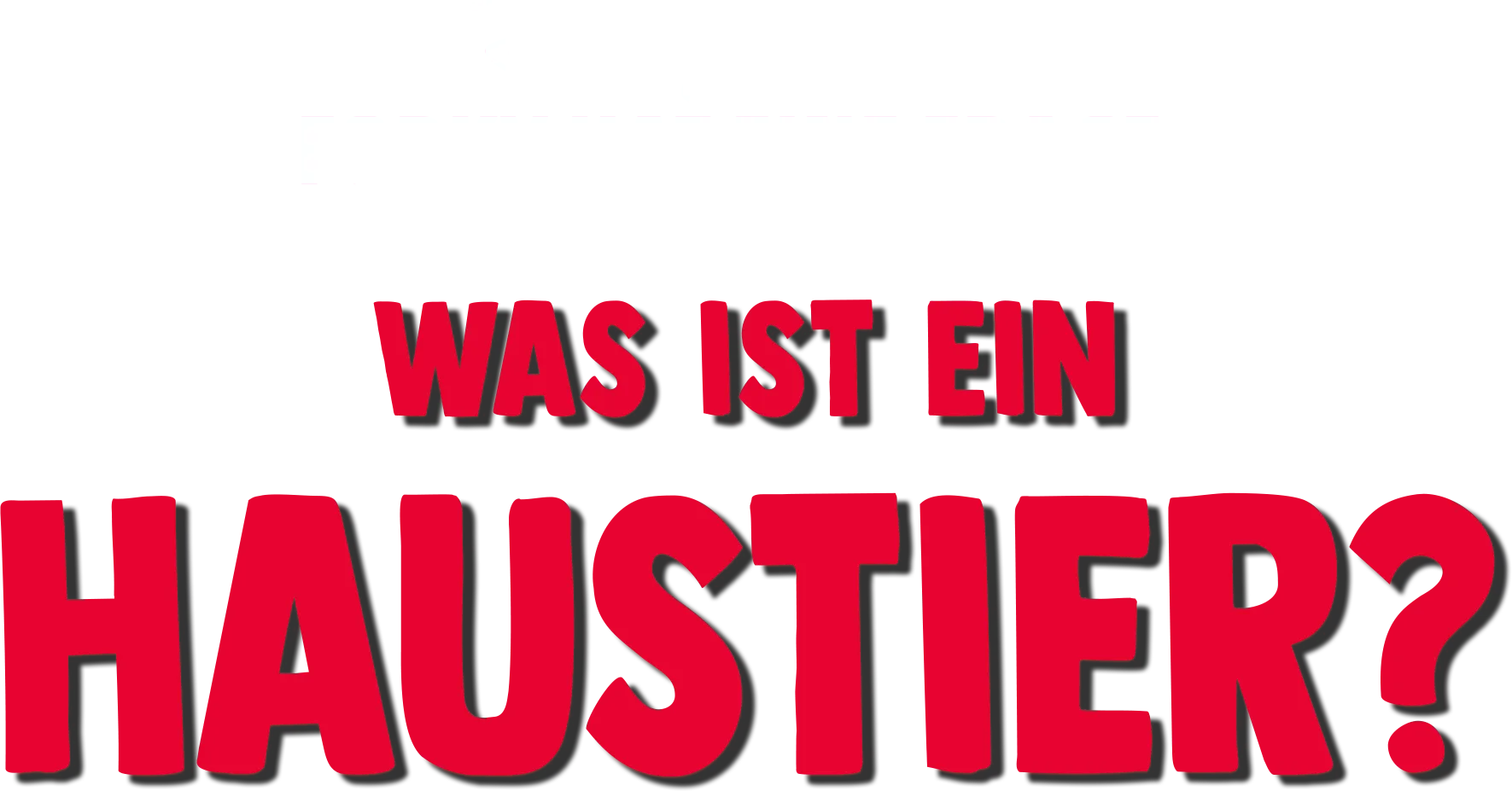 Forky hat eine Frage -Was ist ein Haustier?