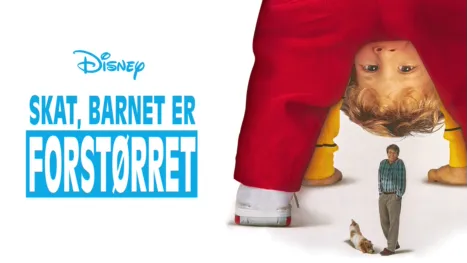 thumbnail - Skat, barnet er forstørret