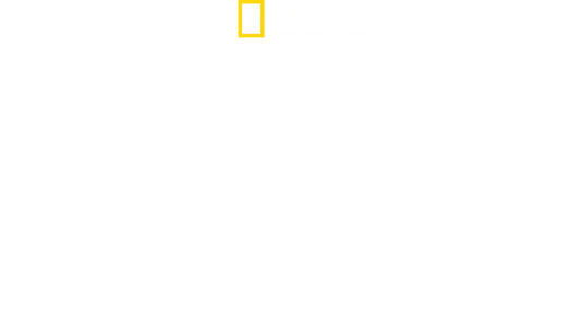 진시황의 잃어버린 무덤
