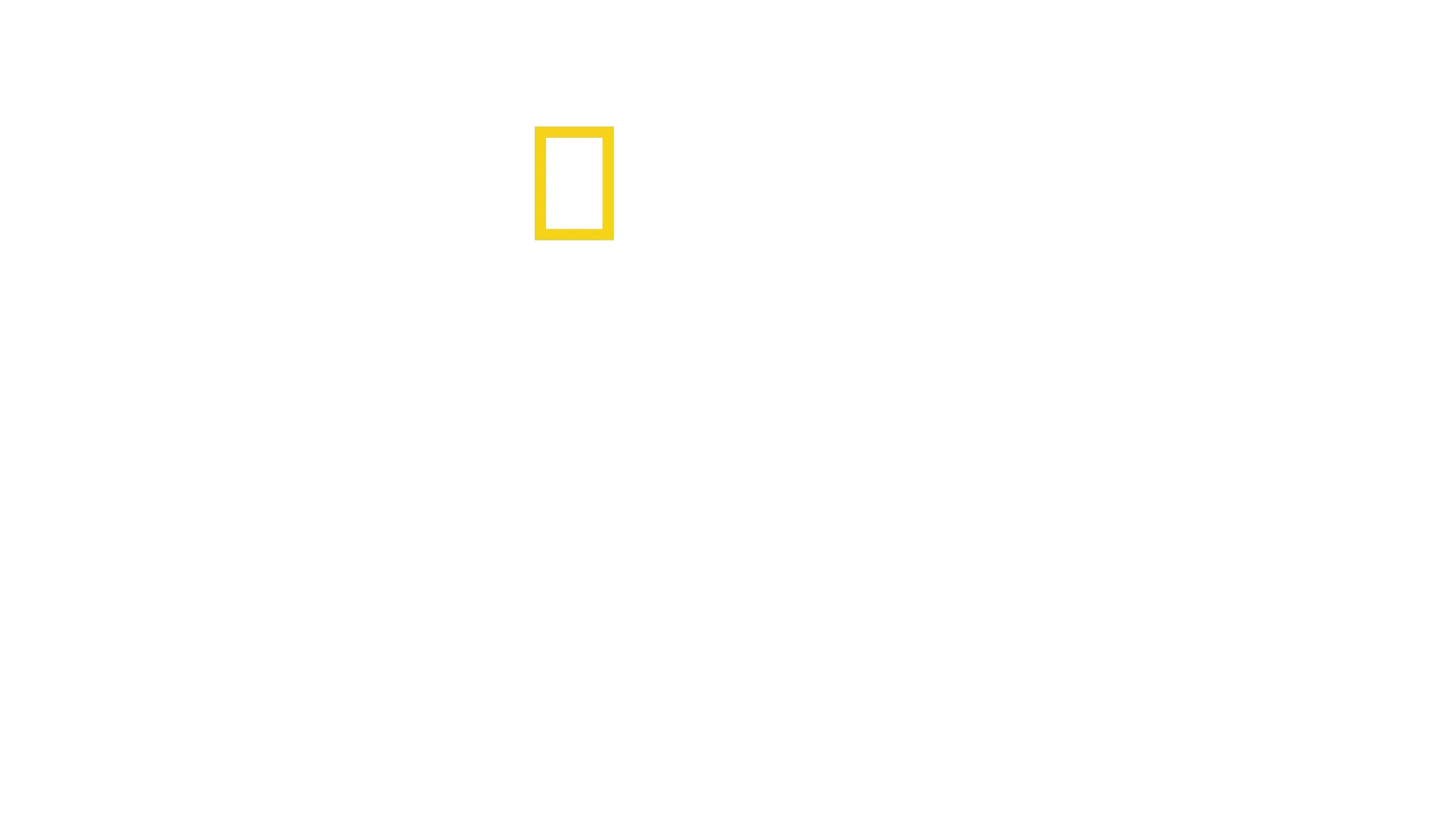 慈膳救援行動