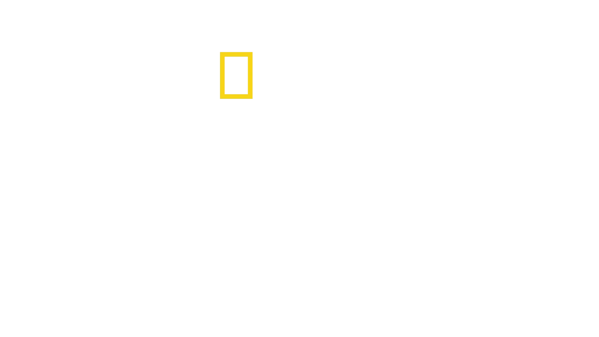 慈膳救援行動