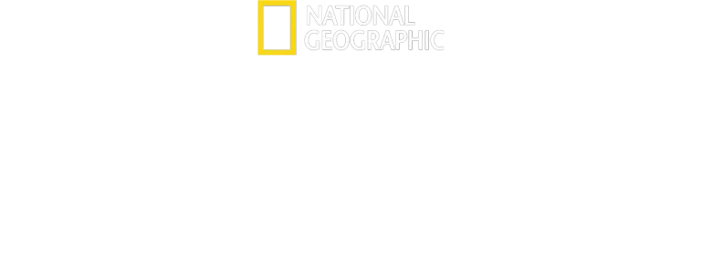 慈膳救援行動