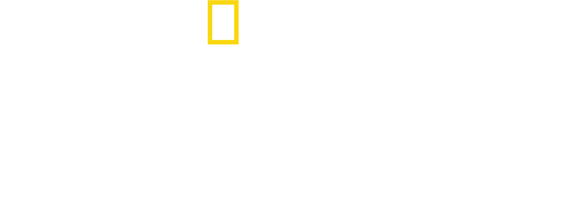 慈膳救援行動