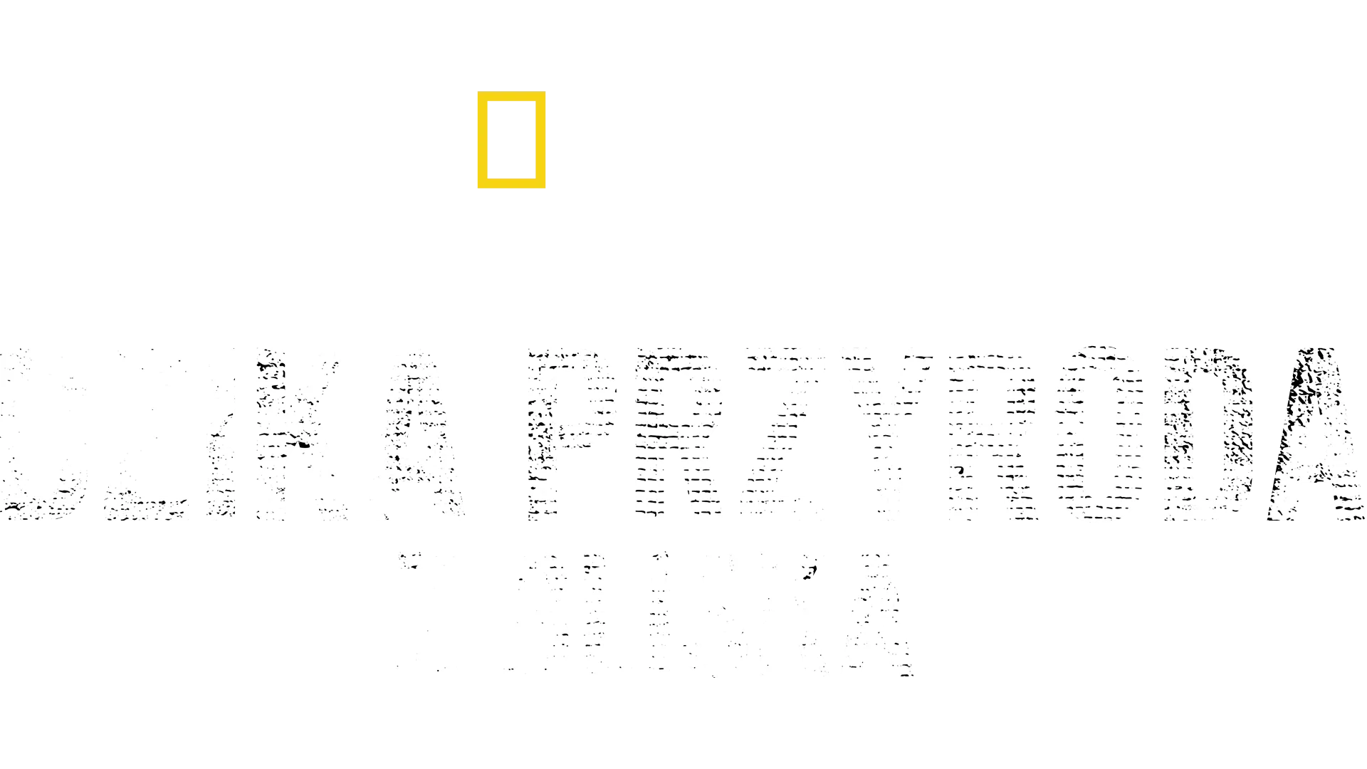 Bertie Gregory: Dzika przyroda z bliska