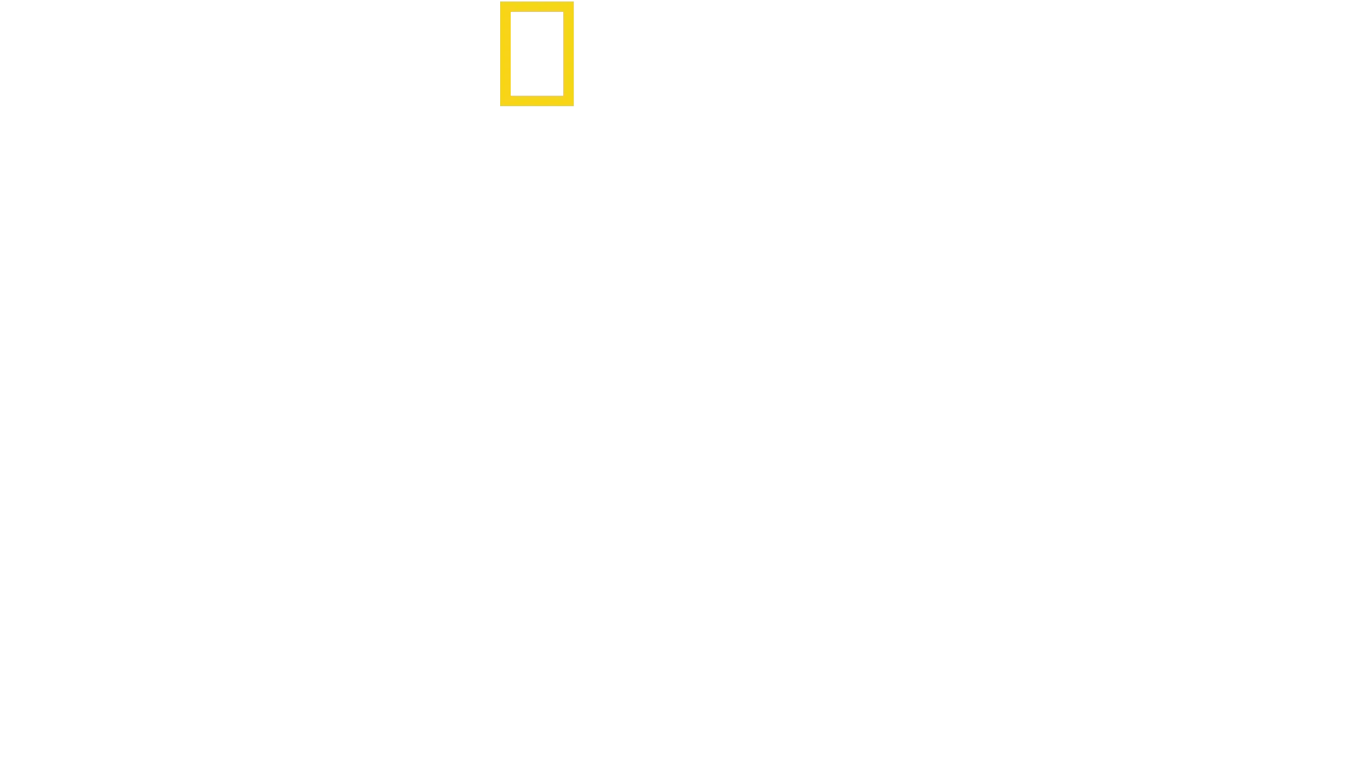 Die geheimnisvolle Welt der Wale