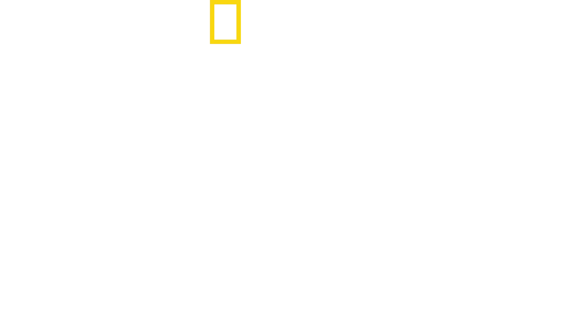 Die geheimnisvolle Welt der Wale