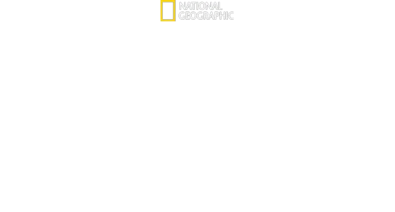 Au Cœur de Disney's Animal Kingdom