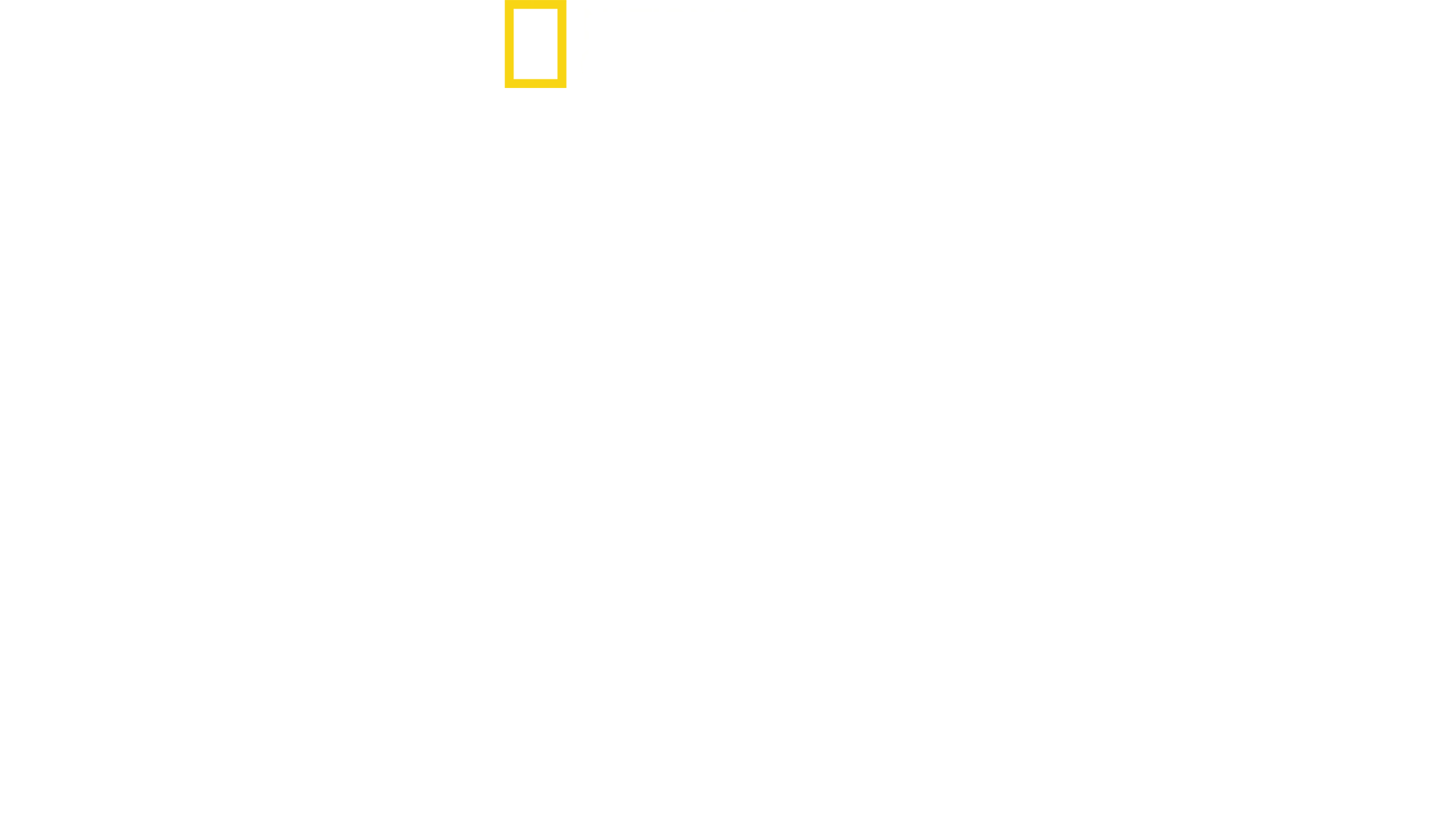 Guerra ai Narcos