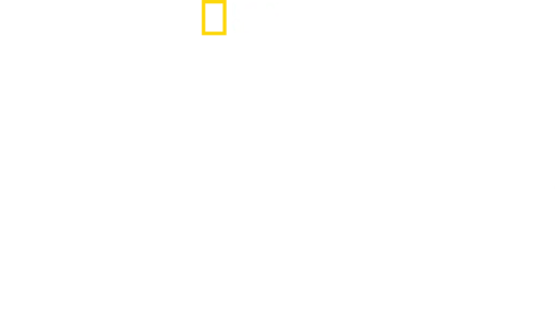 Guerra ai Narcos
