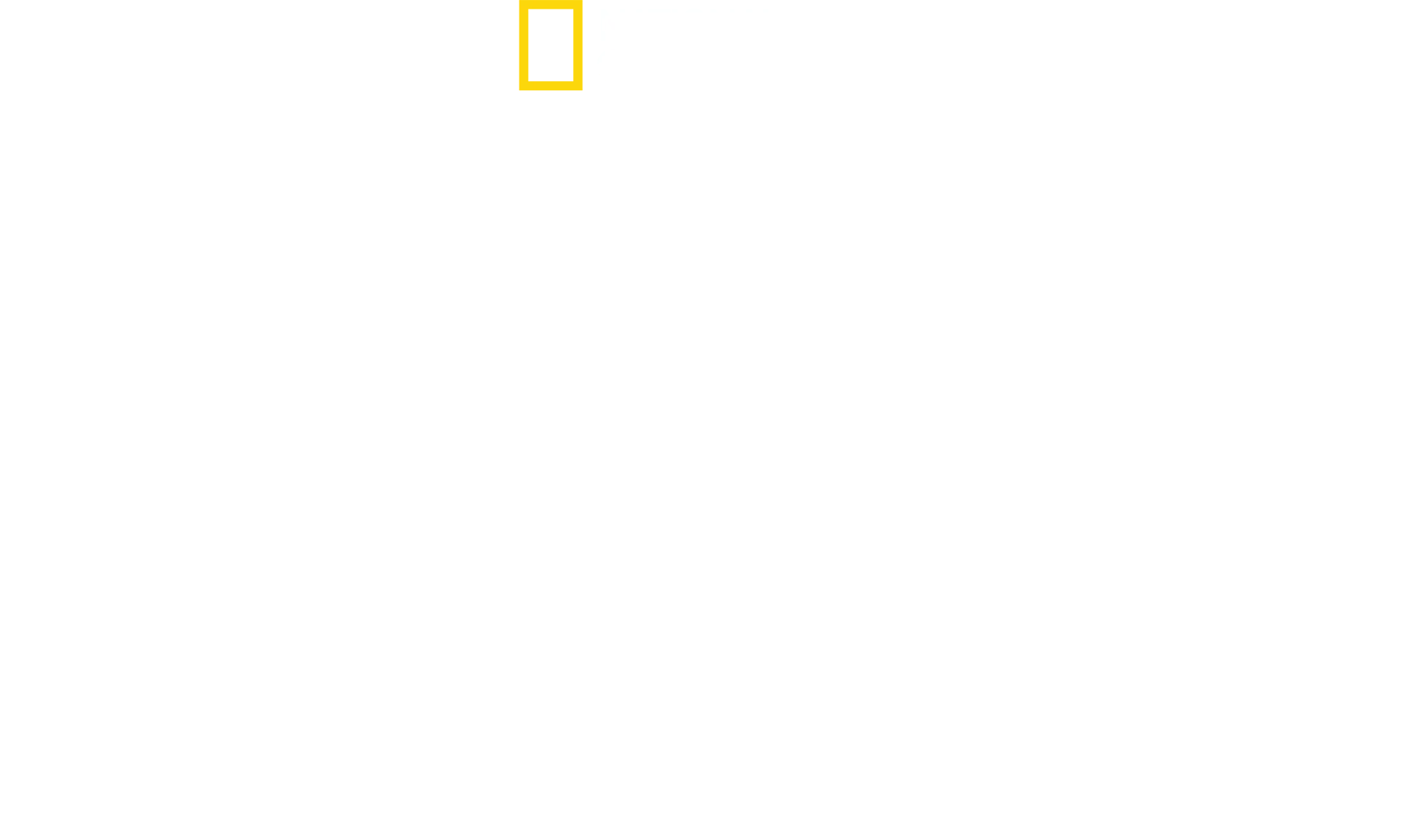 Guerra ai Narcos