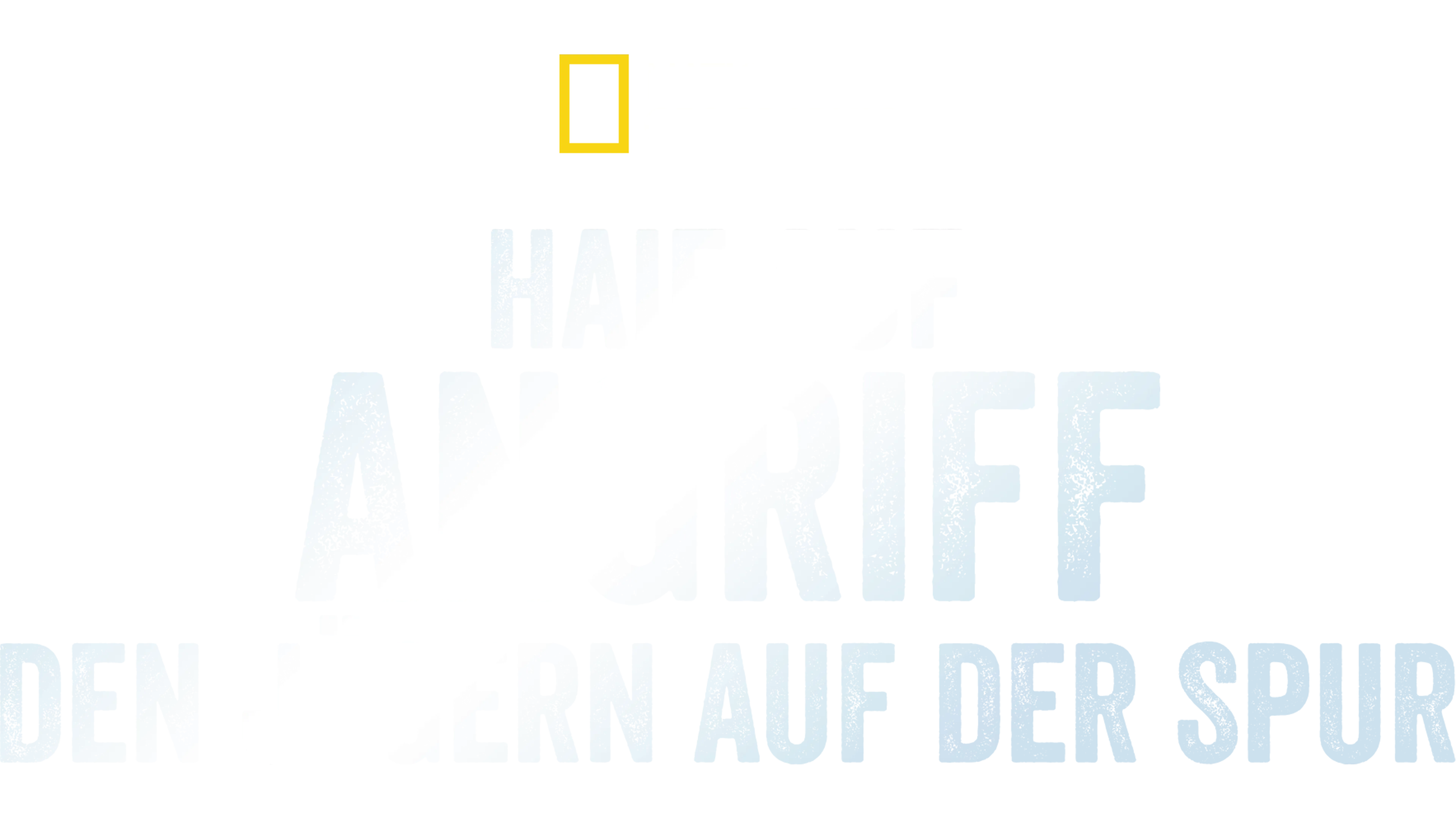 When Sharks Attack... And Why