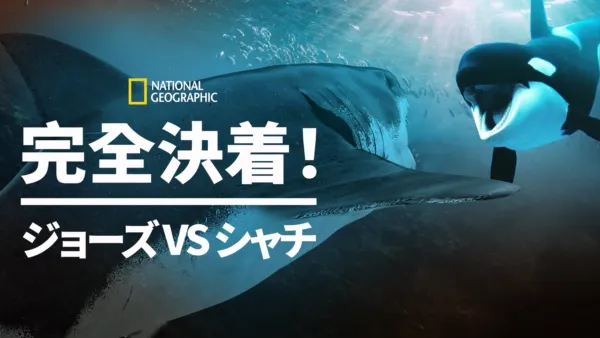thumbnail - 完全決着！ジョーズvsシャチ