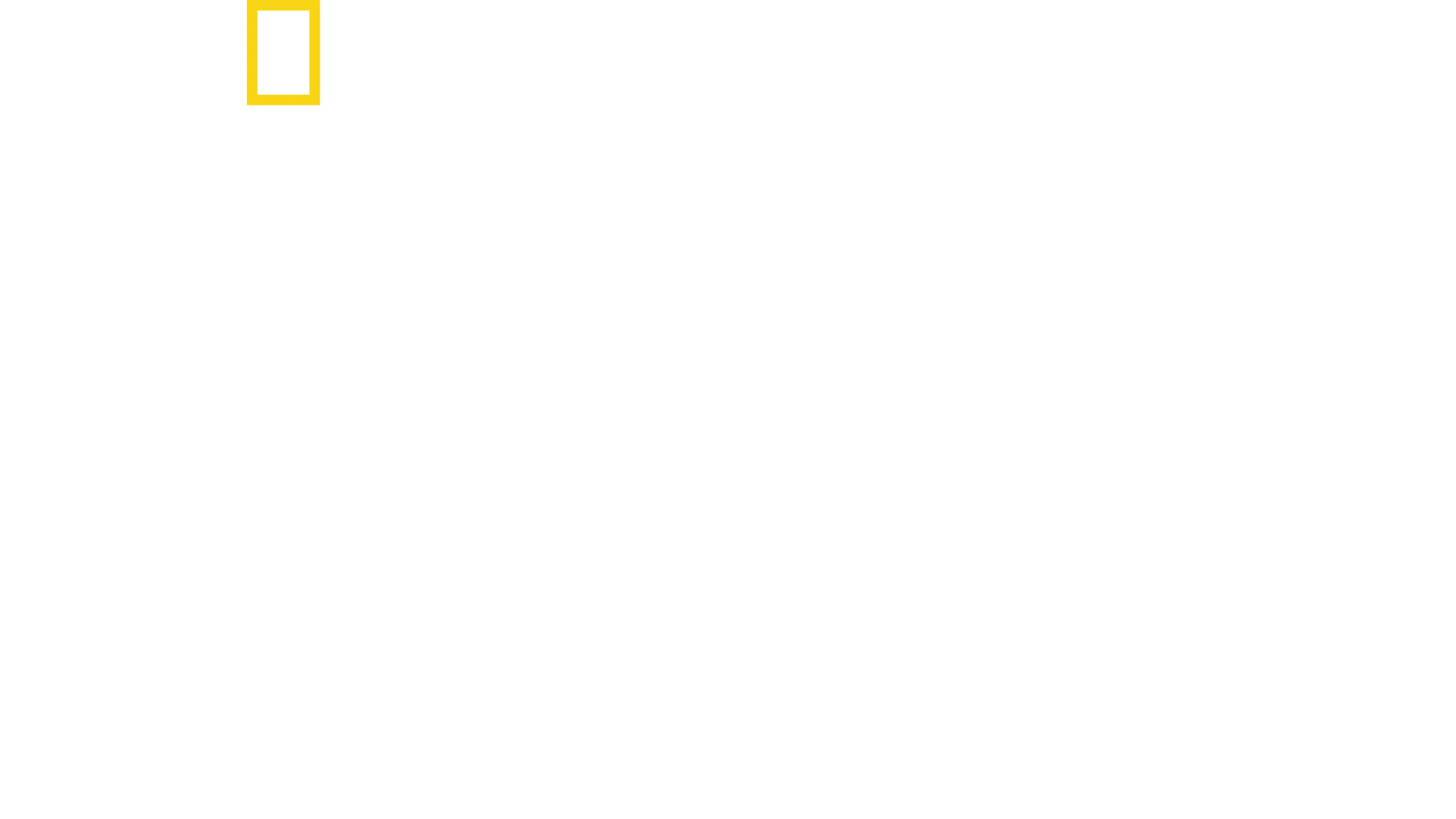黃石國家公園