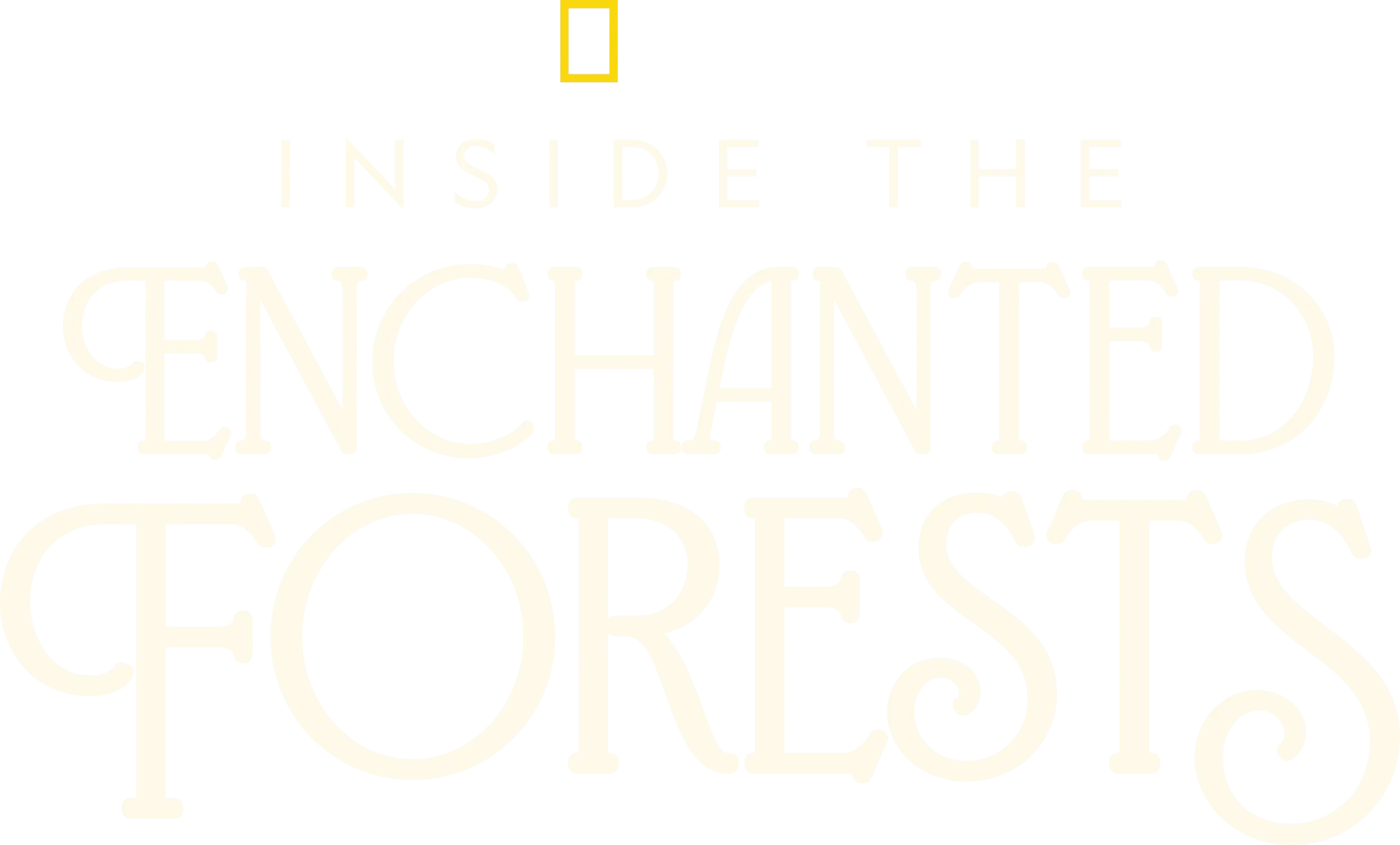 Inside the Enchanted Forests