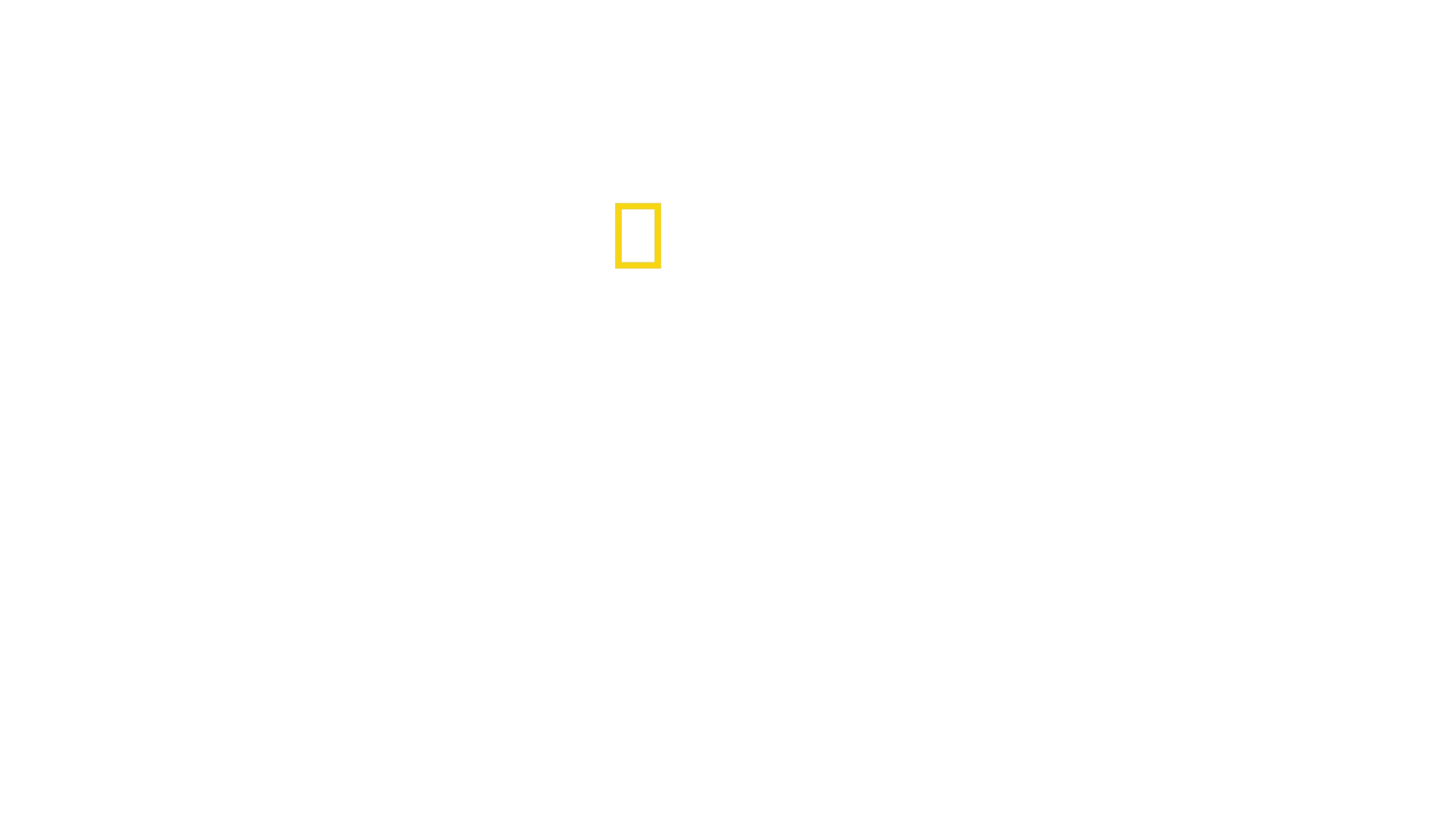 A delfinek világa Bertie Gregoryval