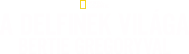 A delfinek világa Bertie Gregoryval