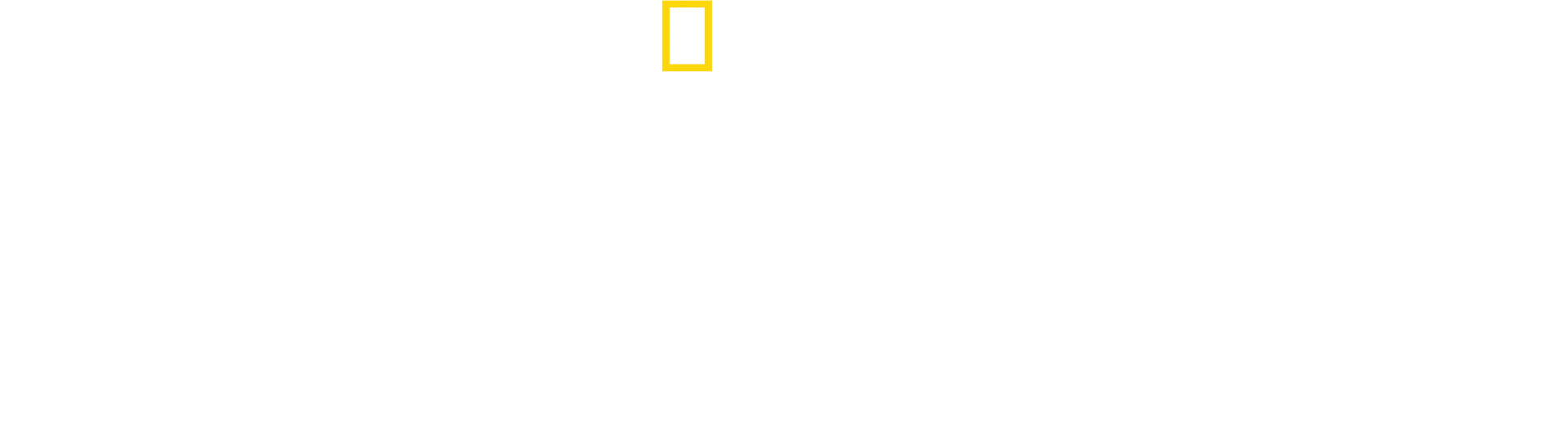 A delfinek világa Bertie Gregoryval