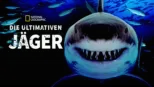 thumbnail - Haie - Die ultimativen Jäger