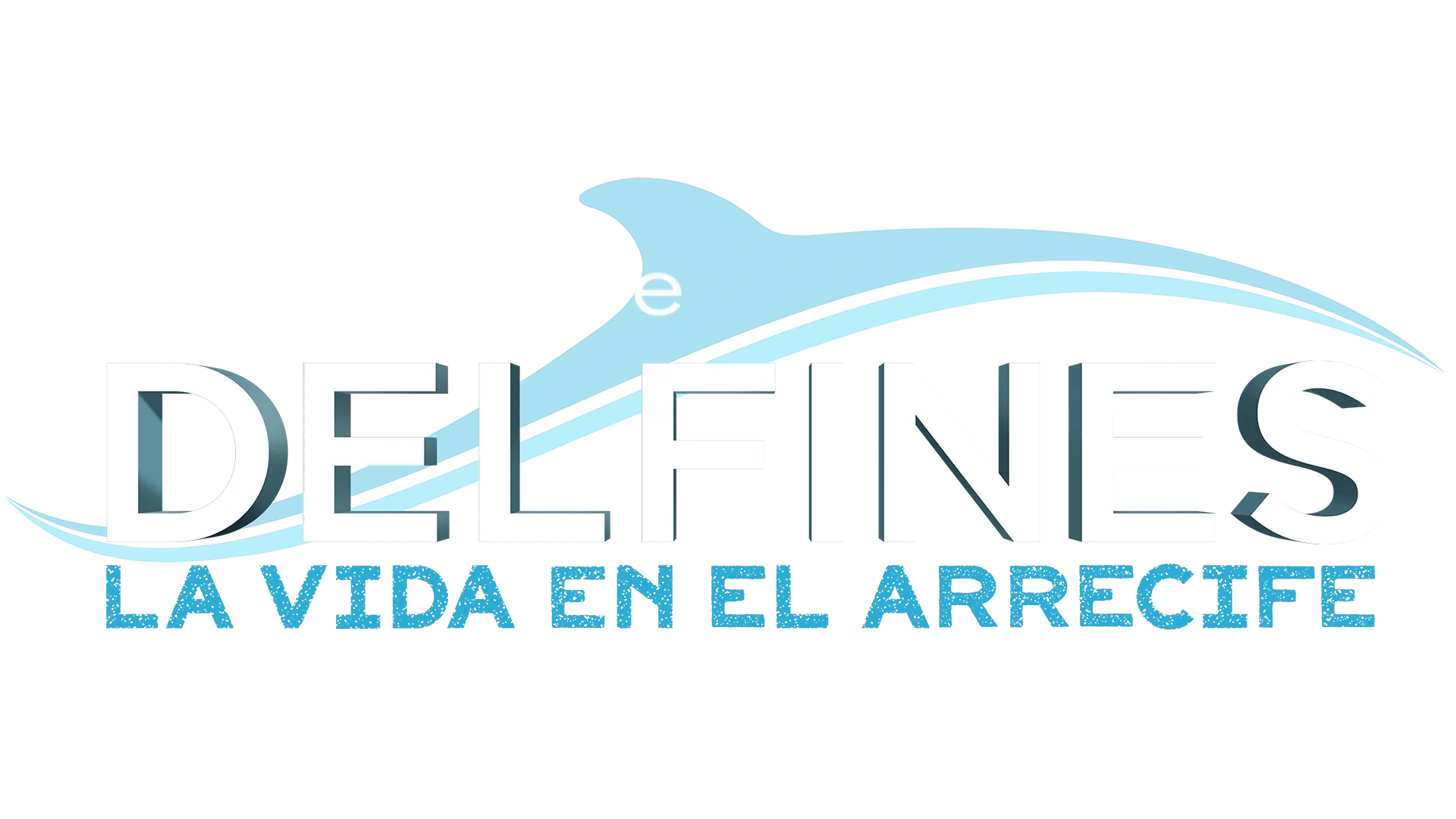 Delfines: La vida en el arrecife