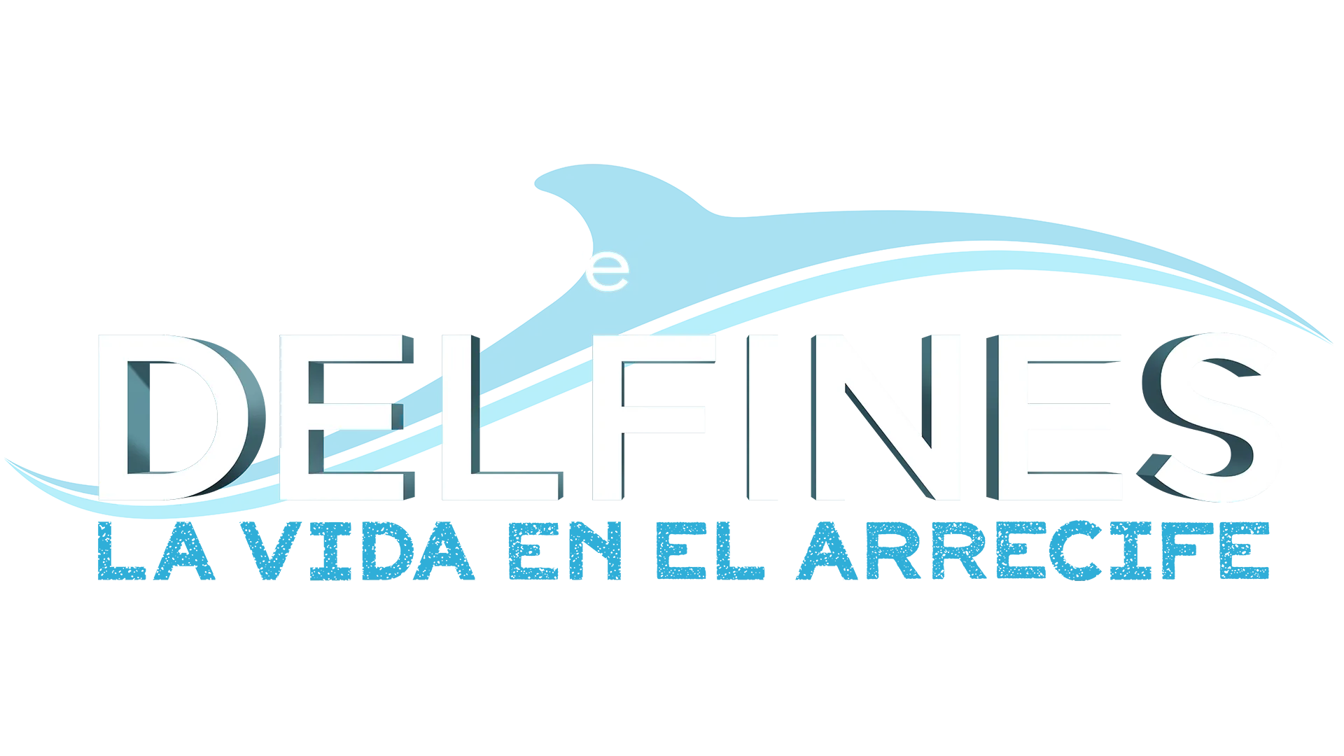 Delfines: La vida en el arrecife