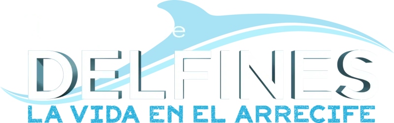 Delfines: La vida en el arrecife
