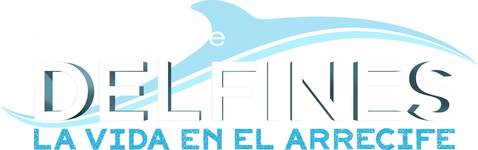 Delfines: La vida en el arrecife