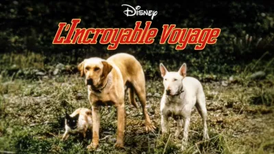 L’incroyable voyage