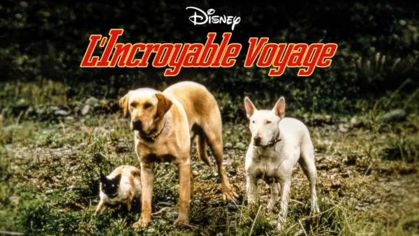 thumbnail - L’incroyable voyage