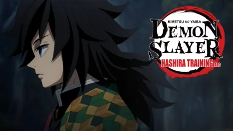 thumbnail - Demon Slayer: Kimetsu no Yaiba Hashira Training Arc