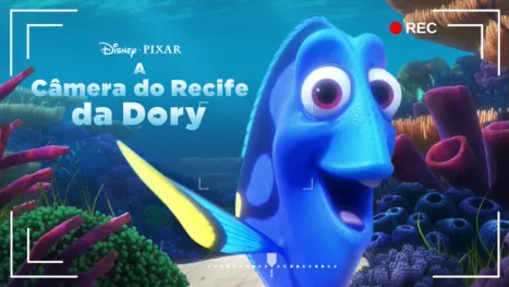 thumbnail - A Câmera do Recife da Dory