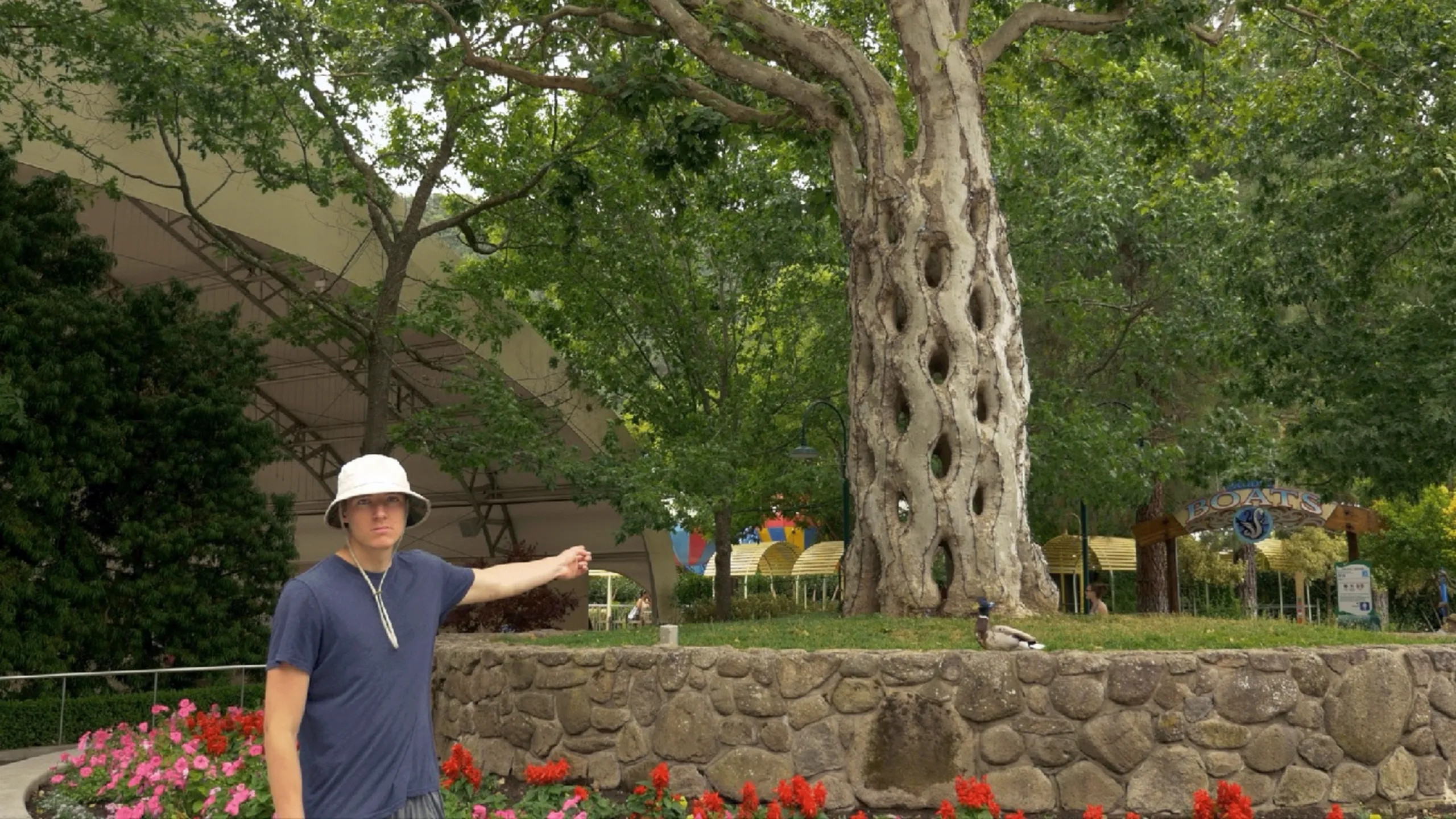 thumbnail - S1:E9 Twisting Trees