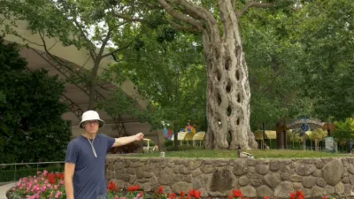 thumbnail - S1:E9 Twisting Trees