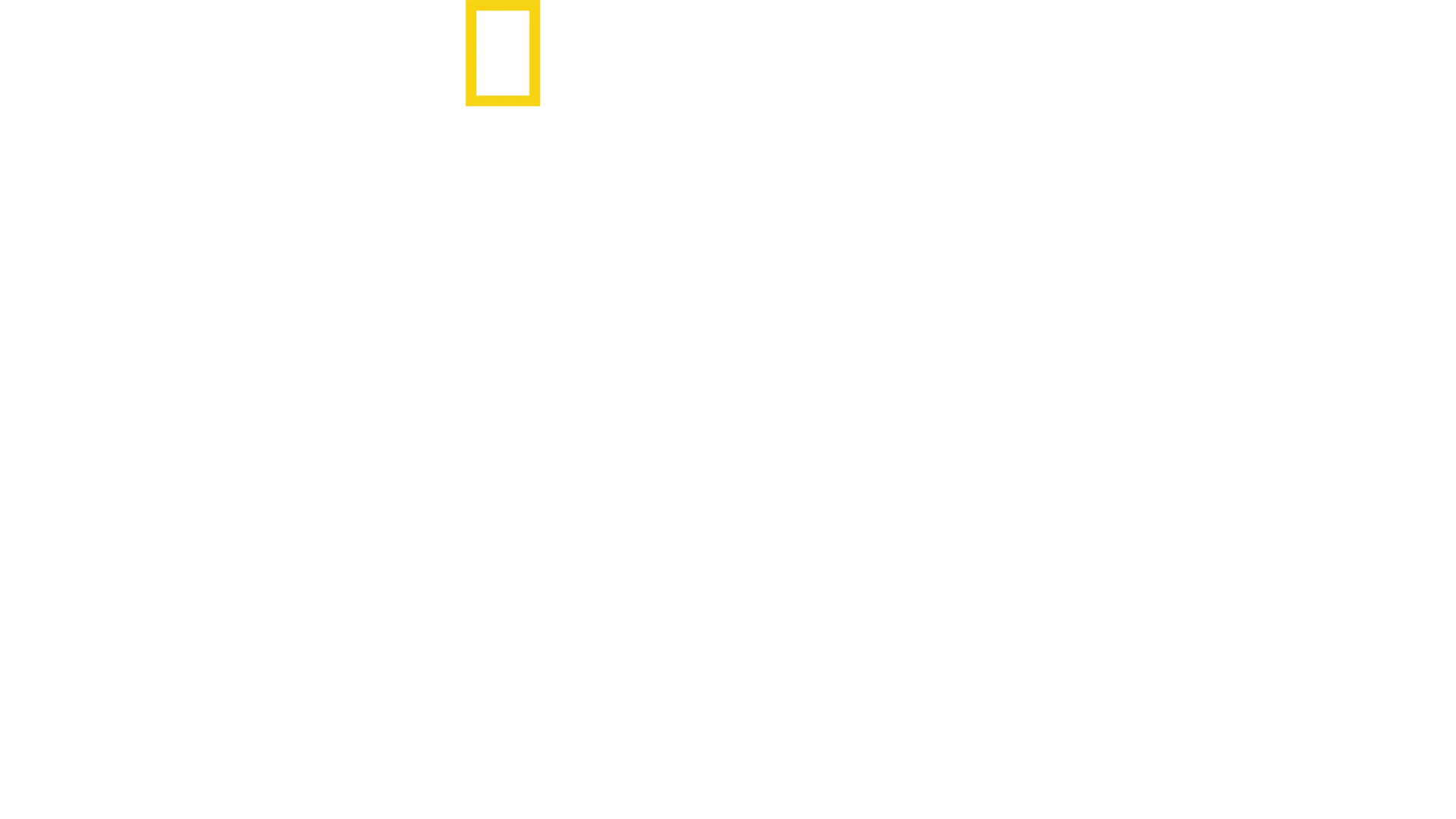 Ataque al Pentágono
