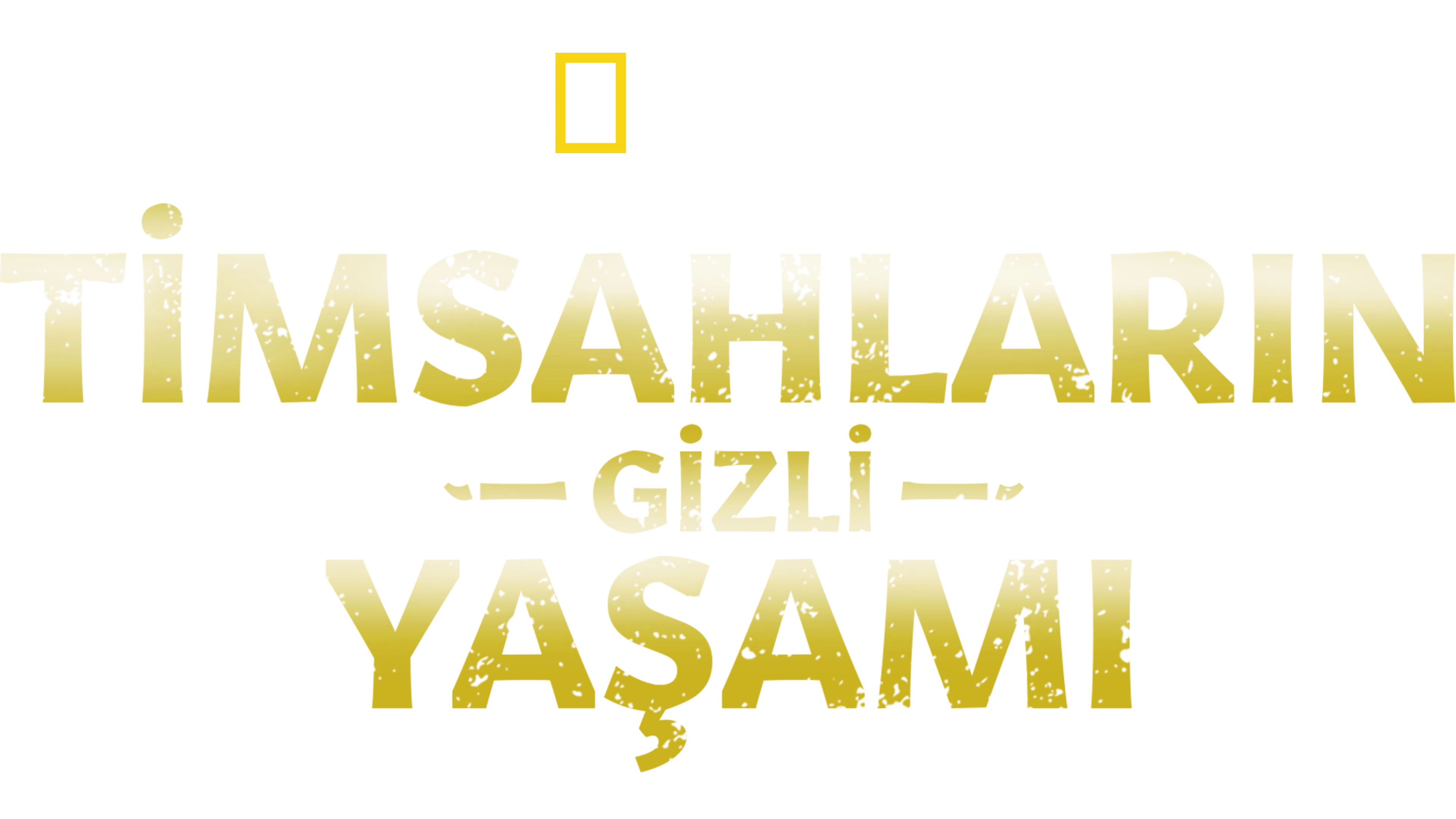 Timsahların Gizli Yaşamı