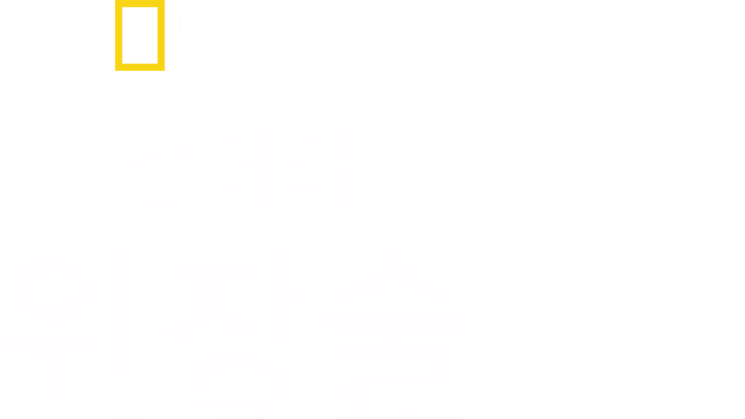 유령 상어