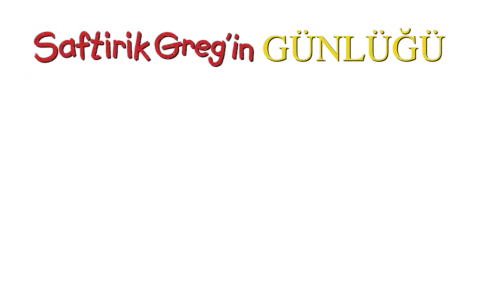 Saftirik Greg'in Günlüğü 2: Rodrick Kuralları