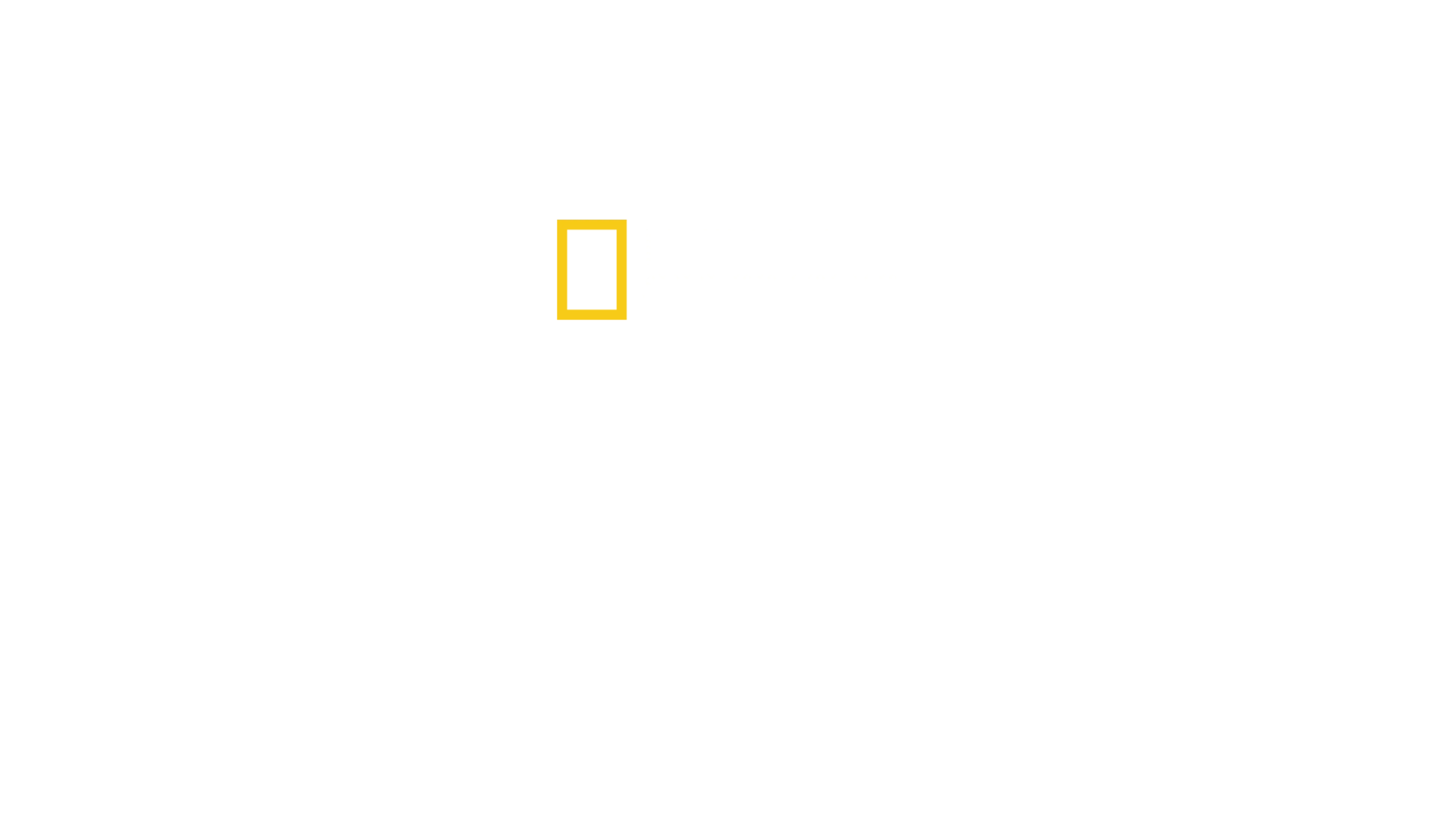 The Mission: Zwischen Glaube und Wahnsinn