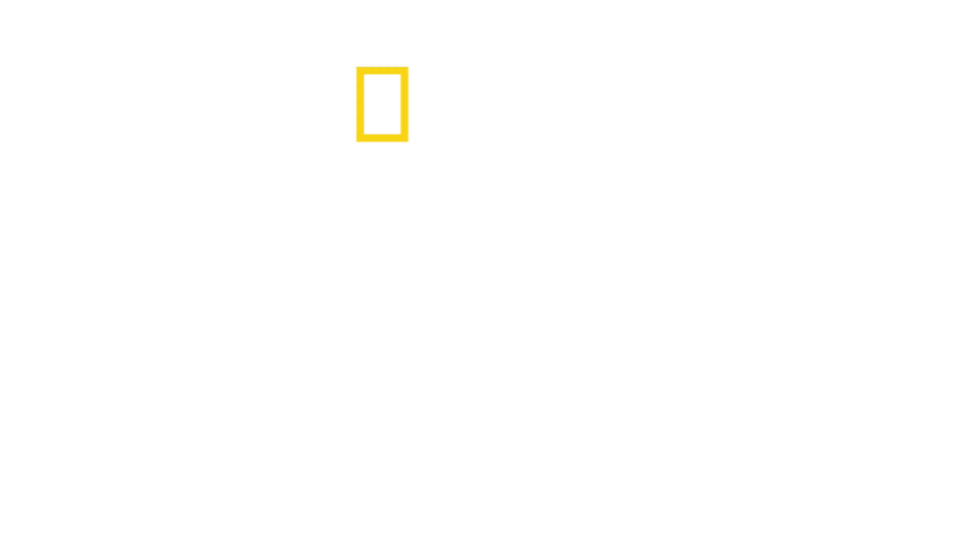 Witness to disaster