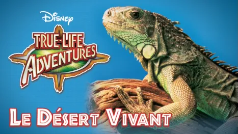 thumbnail - Le Désert Vivant