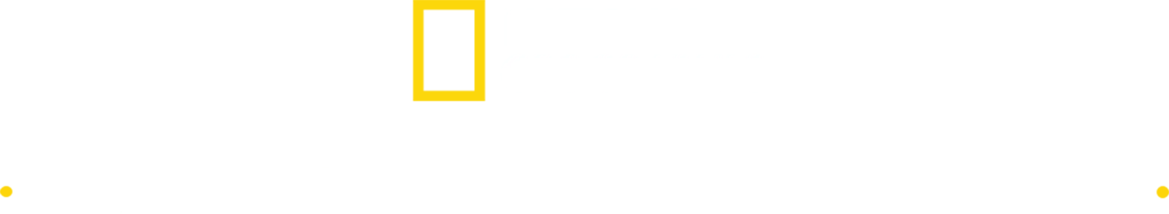 Yukon Veterineri