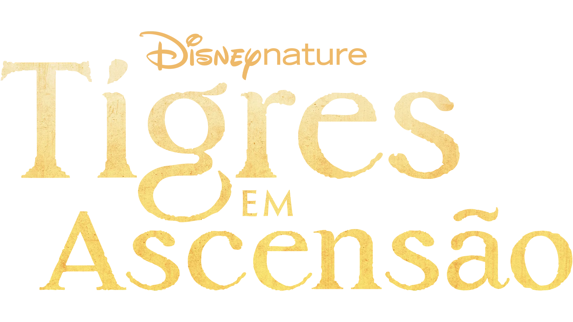 Tigres em Ascensão