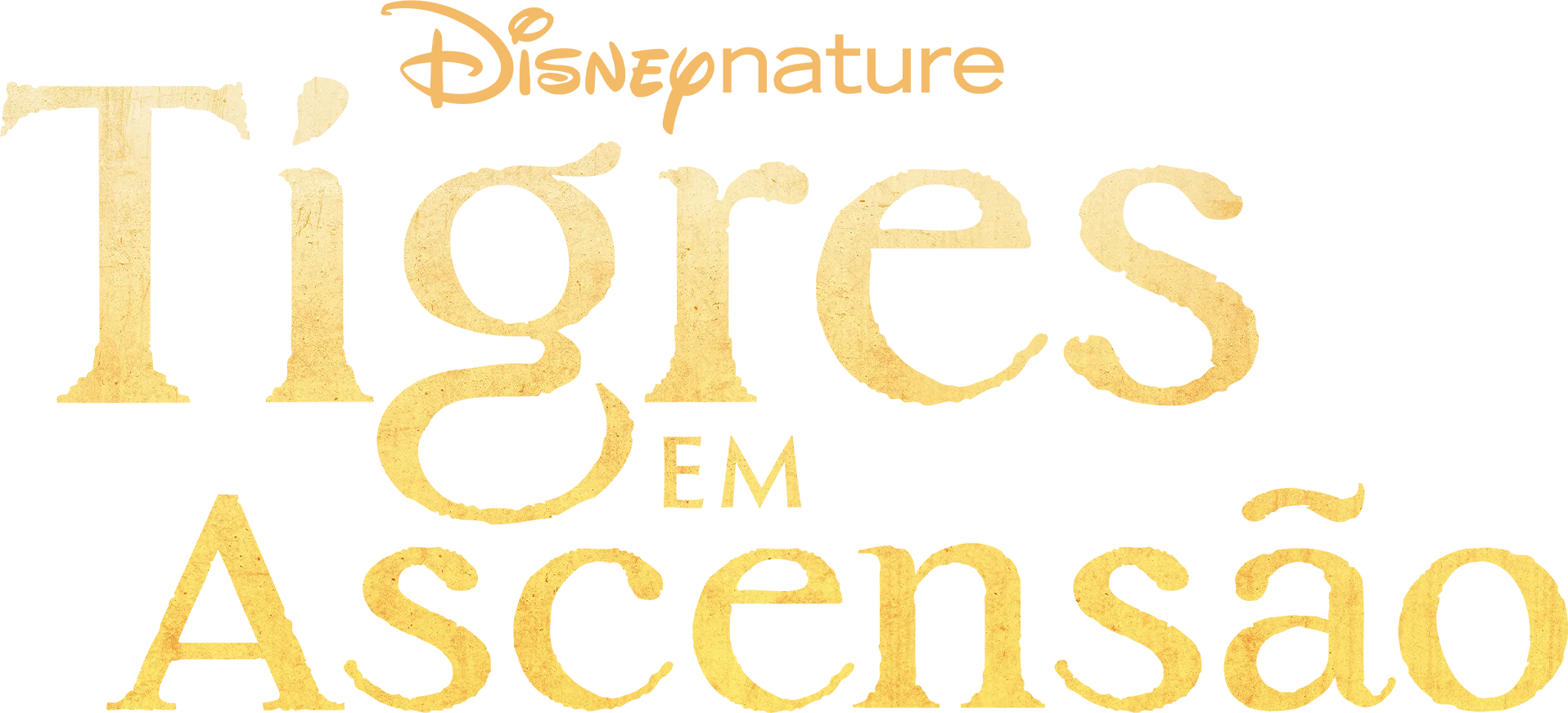 Tigres em Ascensão