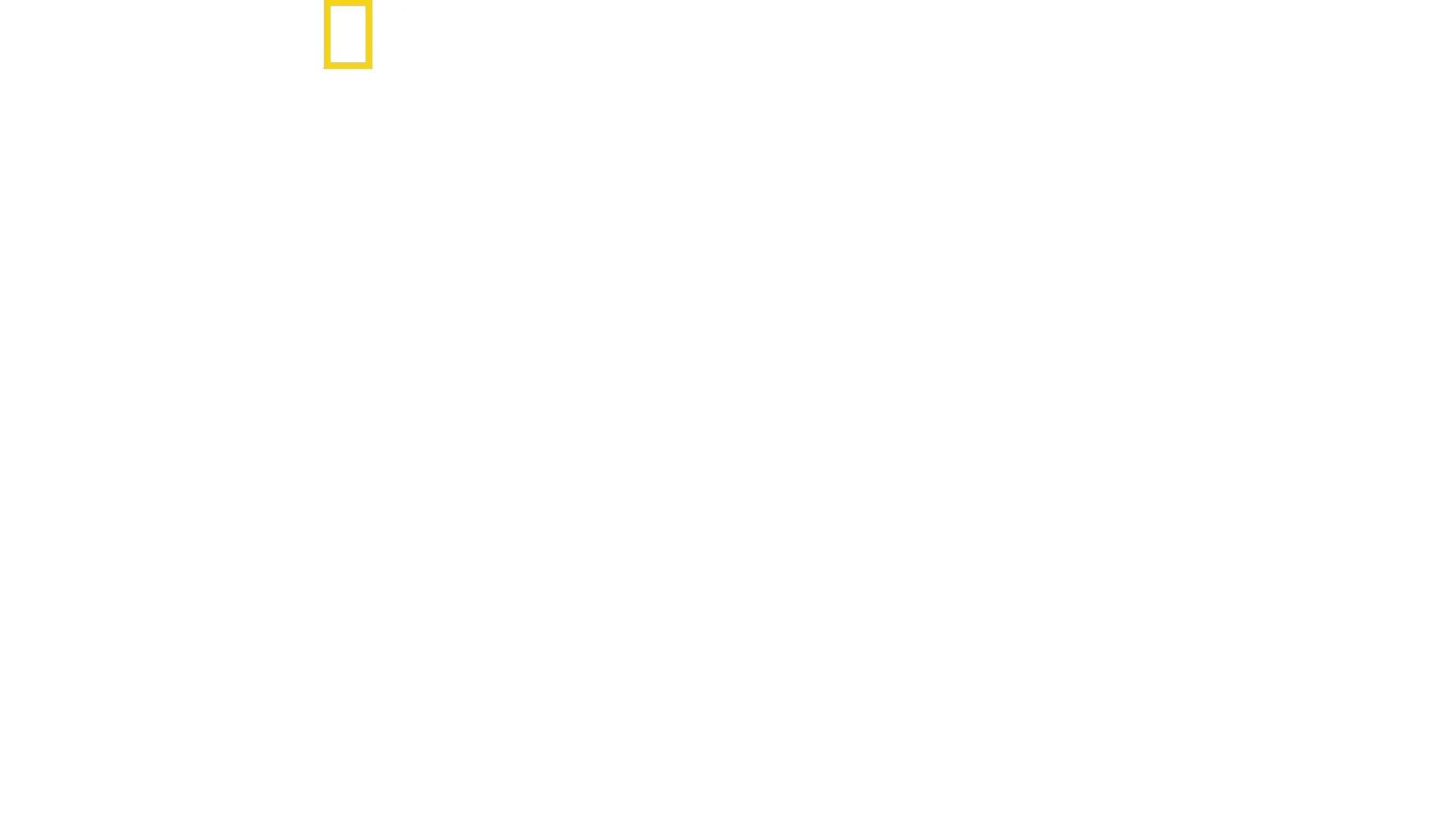 Le ali della seduzione